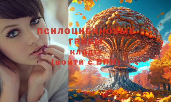 сатива Алексеевка