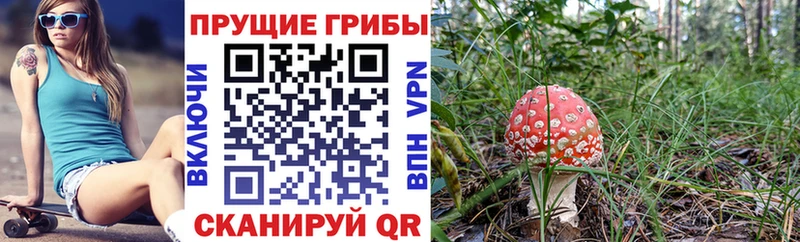 мега ССЫЛКА  Егорьевск  Галлюциногенные грибы мухоморы  где можно купить  