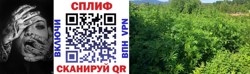 МАРИХУАНА LSD WEED  MEGA tor  Егорьевск 